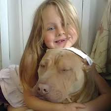 Heartbreak of autistic girl fighting to save 'best friend' dog taken away  by police for being 'banned breed'