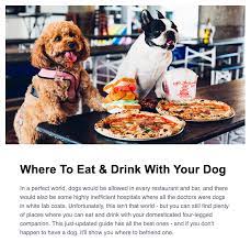 Pin On Pet Care
