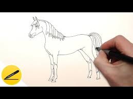 поэтапно рисунок к сказке о мёртвой царевне и семи богатырях Kak Narisovat Loshad Poetapno Risuem Loshadku Youtube