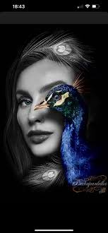 Altered Wings Tattoo Studio