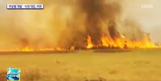 무분별에 대한 이미지 검색결과