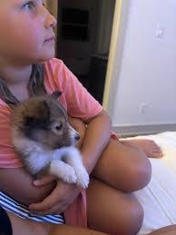 Joanne Pepin's Instagram, Twitter & Facebook