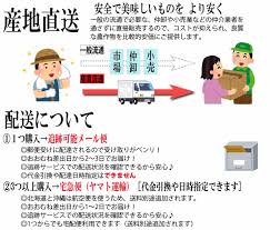 楽天市場 送料無料 香川産 びわの葉 100ｇ 1袋 生葉15 25枚 国産 無農薬 枇杷葉 びわ生葉 温灸 湿布 びわエキス びわ 療法 西森くだもの農園 香川みかん農家