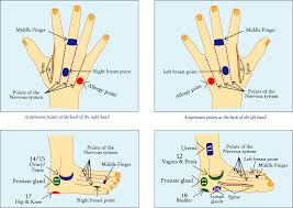 Foot Pressure Points Chart Clipart Images Gallery For Free