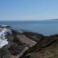 Fantastic Fossils of Filey Brigg event image