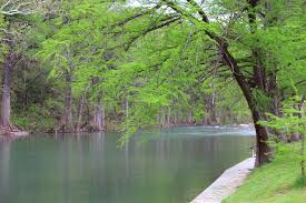 Maybe you would like to learn more about one of these? River Road Camp 3 Photos New Braunfels Tx Roverpass