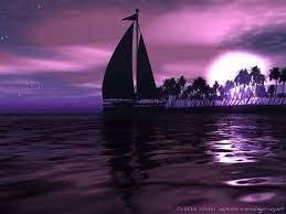 صور باللون البنفسجي كيف احبك حبيبي purple wallpaper purple sunset purple backgrounds