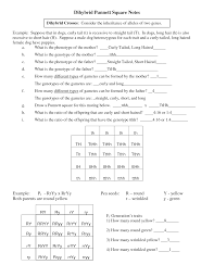 Put the male's gametes on. 33 Punnett Square Worksheet 1 Answers Free Worksheet Spreadsheet