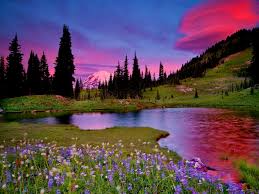 See more ideas about mountain wallpaper, nature, landscape. Free Download Pinky Nature Wallpaper 1346693241 Nature Photo Gallery 1024x768 For Your Desktop Mobile Tablet Explore 48 Gallery Wallpaper Pictures Nature Natural Images Wallpapers Nature Photography Desktop Wallpaper Nature