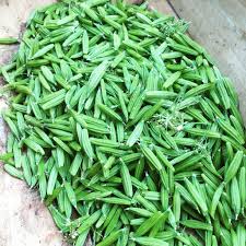 Edible Seeds Wild Spice Conversion Chart