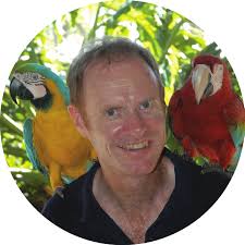 Dynamics of Complex Systems poster 14