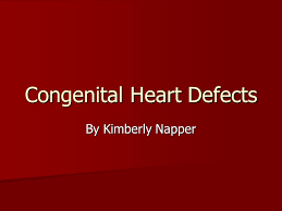 Congenital Heart Defects By Kimberly Napper. Congenital Heart Disease  occurs when the heart or blood vessels near the heart do not develop  properly before.