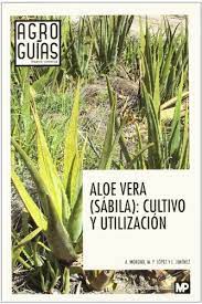 Synonyms arabic german english spanish french hebrew italian japanese dutch polish portuguese romanian russian turkish chinese. Aloe Vera Sabila Cultivo Y Utilizacion Spanish Edition Jimenez Alvarez Luis Lopez Galvez Maria Yolanda Moreno Vega Alberto 9788484765554 Amazon Com Books