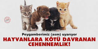 Peygamberimiz Asm Uyariyor Hayvanlara Kotu Davranan Cehennemlik
