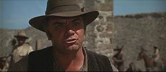 Introduction to The Wild Bunch Fan Page and Group Rules