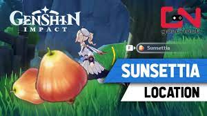 Genshin Impact Sunsettia Locations - Best Farming Spots - YouTube