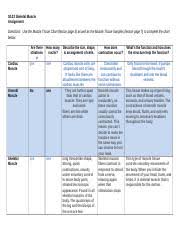 02 02assignment Anatomy 02 02 Skeletal Muscle Assignment