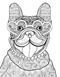 This cute yorkie coloring pages uploaded by gina kozey from public domain that can find it from google or other search engine and it's posted under topic coloring pages of yorkie puppies. 24 Free Pet Coloring Pages For Dog And Cat Owners Better Homes Gardens