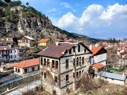 Image result for Ozoroa kassneri