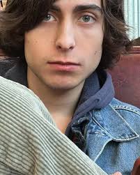 Did anyone see that they've cast the rest of the teens (Snotlout, Fishlegs  + the twins)? Confirmed Casting so far: Hiccup