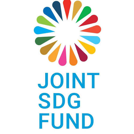 Joint SDG Fund | New York NY
