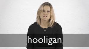 What it means when you're black: Hooligan Synonyms Collins English Thesaurus