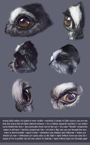 Dog Eye Studies With Notes By Klakklak On Deviantart Dog Portraits Painting Animal Paintings Animal Drawings