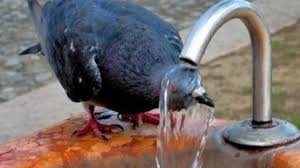 Αποτέλεσμα εικόνας για ΕΧΕΙ ΚΑΥΣΩΝΑ