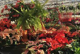 Books set in knoxville, tennessee: Stanley S Greenhouse