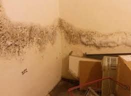 Wet clothes in a warm room equals evaporation and condensation. Interstitial Condensation Explained Richardson Starling