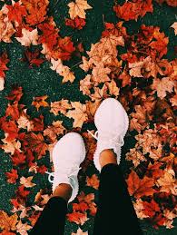 Pin On Herbst