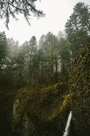 Portland Photography The Pacific Northwest