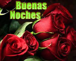En Paz Me Acuesto Y Enseguida Me Duermo Porque Tu Solo Senor Me Haces Vivir Tranquilo Flowers Rose Beautiful Flowers
