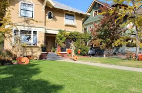 With his flourishing career, his happy marriage and entrepreneurial dreams, the man has even further to go. Seth Rogen Net Worth Roles Movies Salary Houses