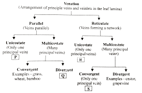 Study The Following Flow Chart And Select The Correct Option