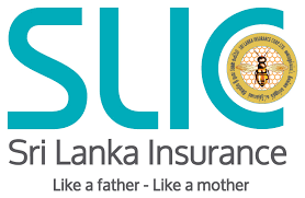 Reader view insurance has health & economic benefits us healthcare is a patchwork of insurance coverage with many cracks Comprehensive Health Plus Sri Lanka Insurance