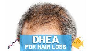 Dhea converts to a hormone known as. The Truth About Dhea And Hair Loss Foods That Promote It