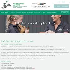 Due to the training and treatment of racing dogs and the rigours of competing on the track, a retired greyhound may racing greyhounds are normally kennelled in pairs and will, in most cases, happily share their new home with another dog. Wa National Adoption Day Greyhound Adoptions 75 Usually 350 Greyhounds As Pets Ozbargain