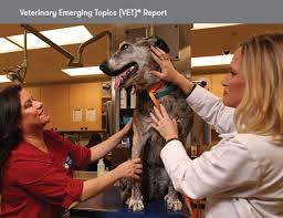 Dogs, puppies, cats and kittens. Cvma Banfield Releases Fourth Annual Banfield Veterinary Emerging Topics Report