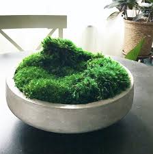 Zen Moss Bowl In 2020 Green Tablescape Moss Centerpieces Bud Vase Centerpiece