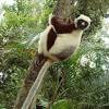 Madagascar, island country lying off the southeastern coast of africa. 1