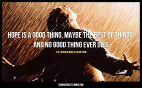 Two imprisoned men bond over a number of years, finding solace and eventual redemption through acts of common decency. Best Quotes From Shawshank Redemption Quotesgram