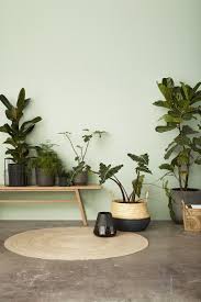Vous Ne Tuerez Plus Jamais Vos Plantes Grace A Ces 5 Astuces Toutes Simples Elle Decoration Decoration Feng Shui Deco Entree Maison Deco Jungle