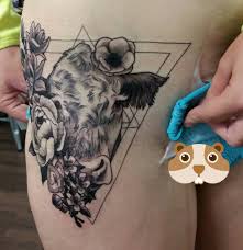In some drawings, there is a. Lakeside Tattoo Cow Tattoo On The Hip Thigh By Jen Holcombe Facebook