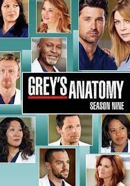 Meredith grey, fille d'un chirurgien très réputé, commence son internat de première année en médecine chirurgicale dans un hôpital de seattle. Grey S Anatomy Streaming Tv Show Online