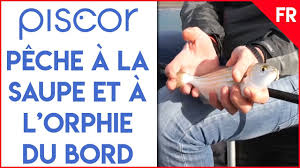 Peche En Bord De Mer A La Canne Bolognaise Daurades Et Saupes A L Asticot Youtube