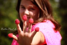 Every single time we have raspberries 😅🤣 I hear “momma look at my claws”