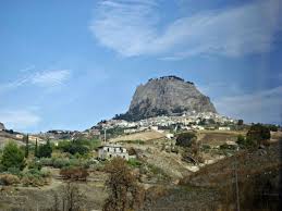 Image result for Sutera debilis