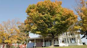 Maybe you would like to learn more about one of these? Amish Farmhouse At Weaver View Farms