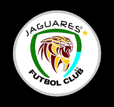 Please add the homepage on which the squad is supposed to be embedded. Jaguares De Cordoba Fc